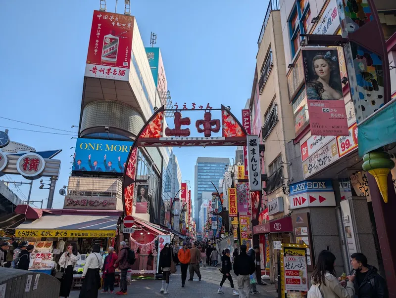 Ueno Ameyoko Shopping Street