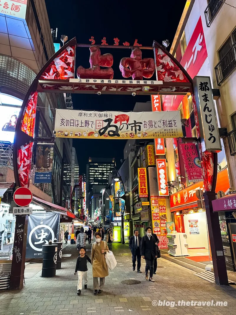 Ueno Ameyoko Shopping Street photo 7