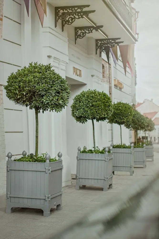 Pacai Hotel photo 9