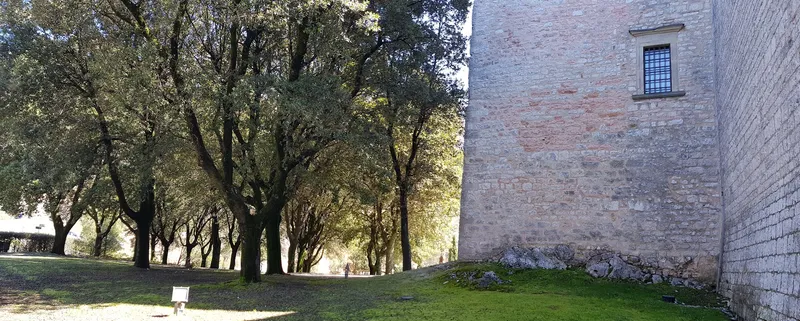 Le Terrazze di Gualdo photo 5