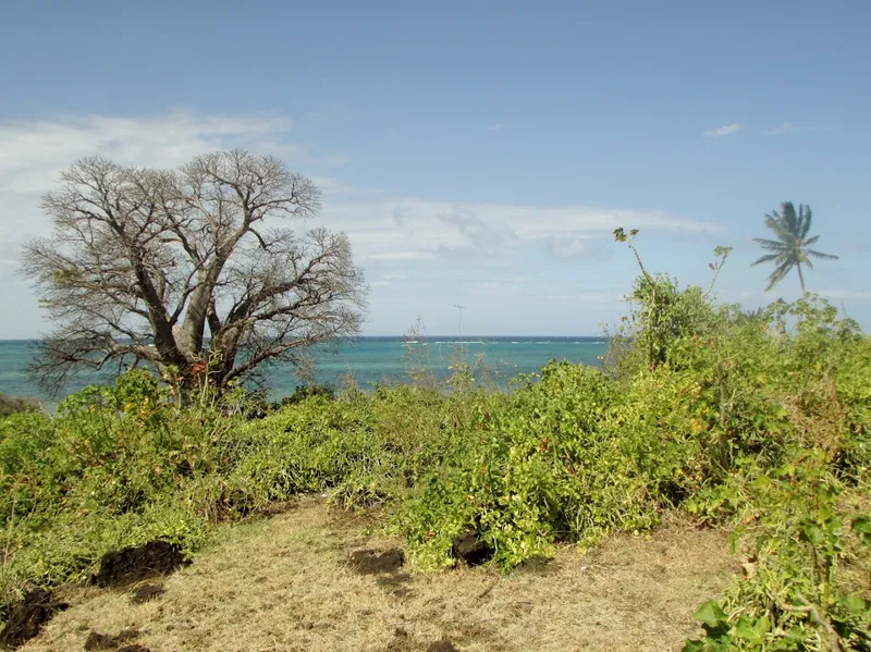 Lac Niamawi foto 7