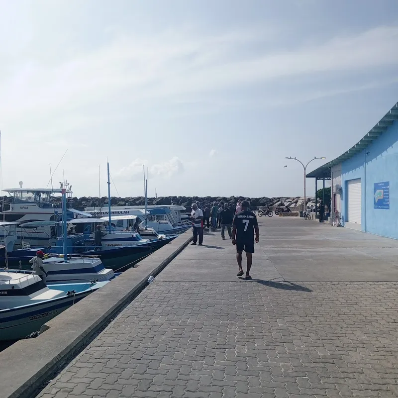 Fuvahmulah Fish Market photo 5