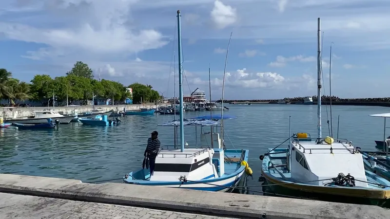 Fuvahmulah Fish Market photo 7