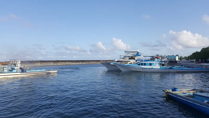 Fuvahmulah Fish Market photo 10