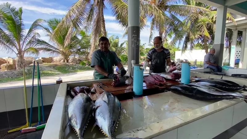 Fuvahmulah Fish Market photo 8