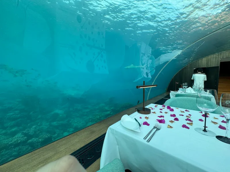 Ithaa Undersea Restaurant foto 5