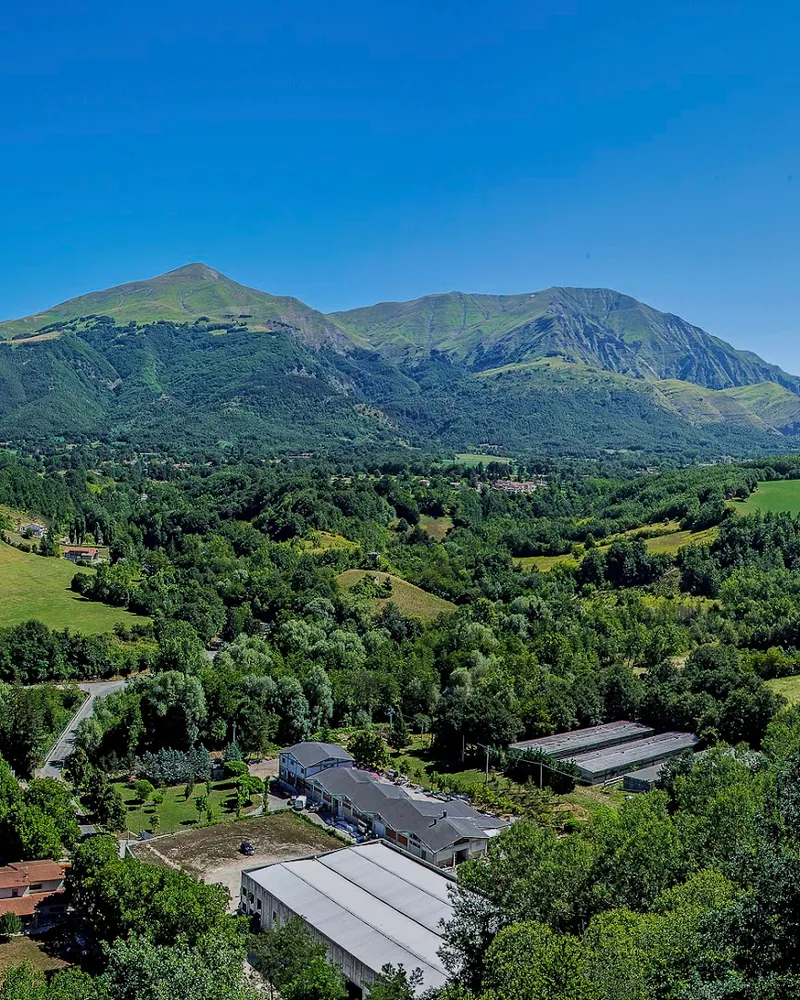 Amatrice