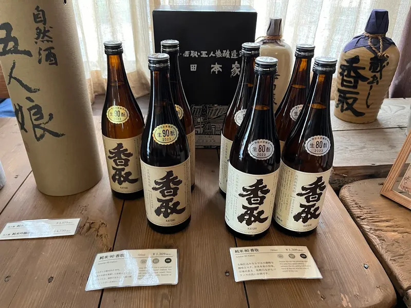 Kozaki