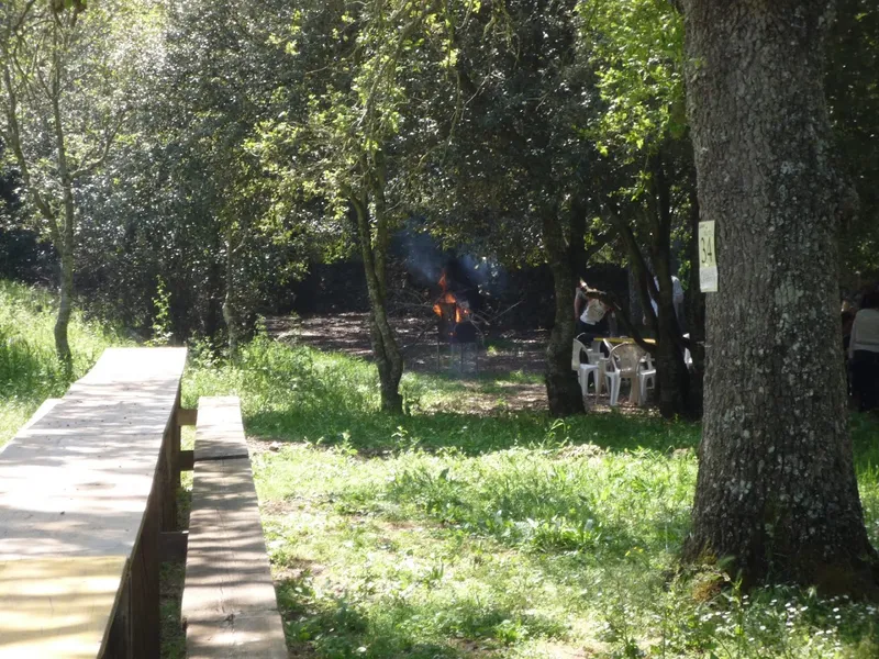 Corte dei Fragni foto 7