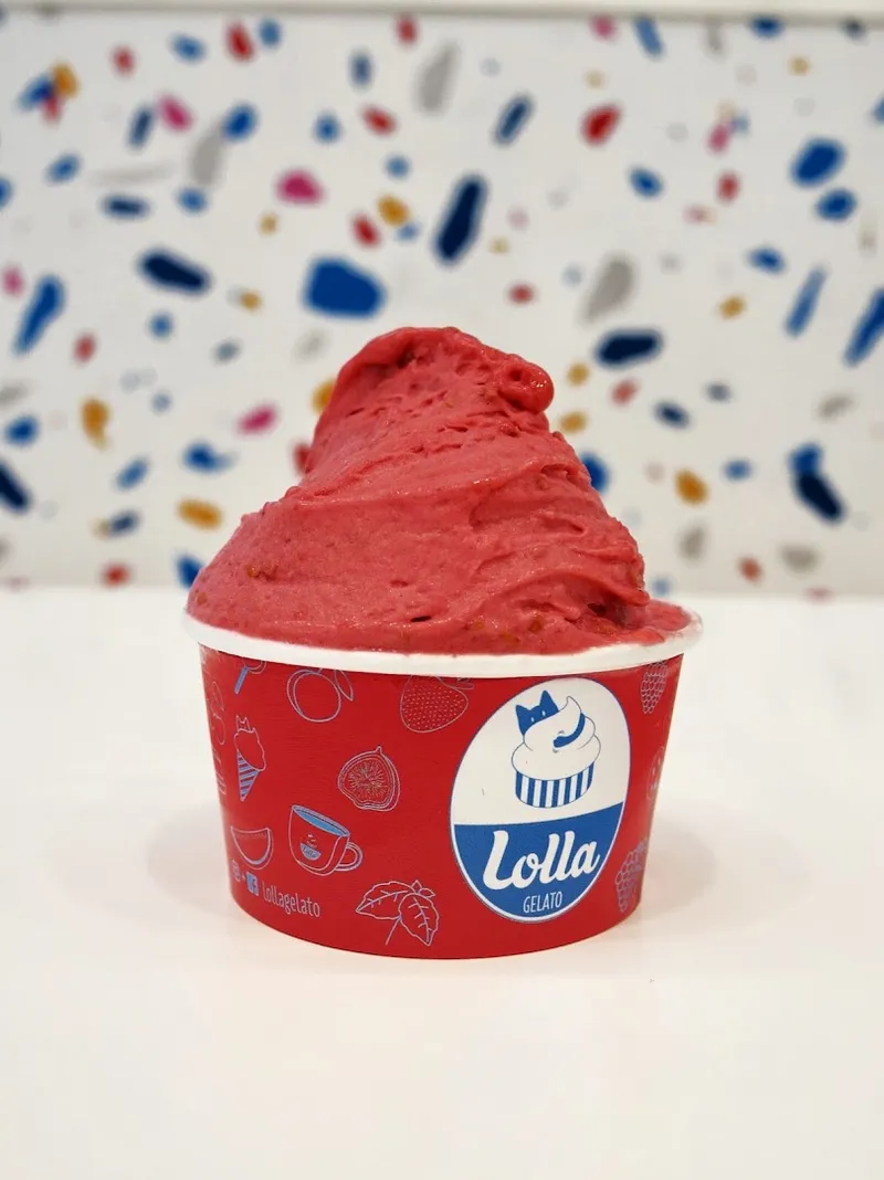 LOLLA Gelato photo 7