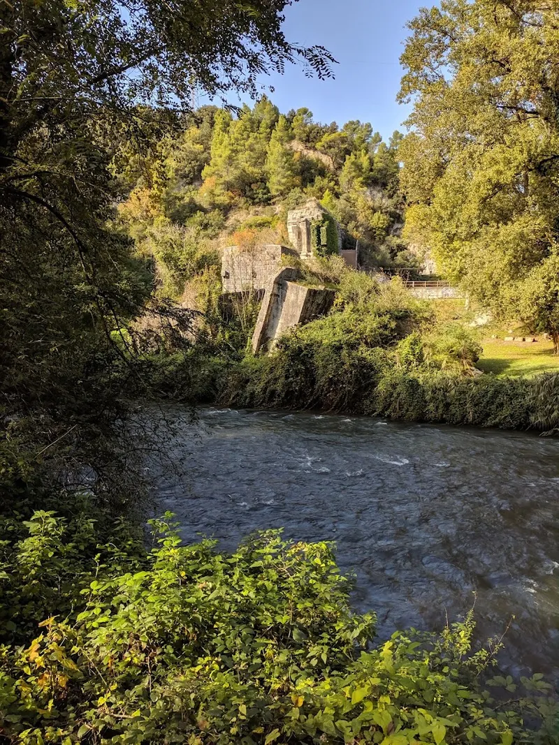 Ponte d'Augusto photo 6