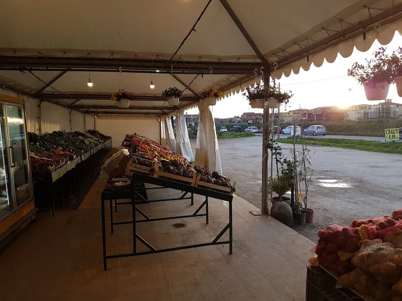 Azienda Agricola di Francesco e Angelica foto 5