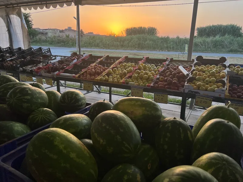 Azienda Agricola di Francesco e Angelica foto 8