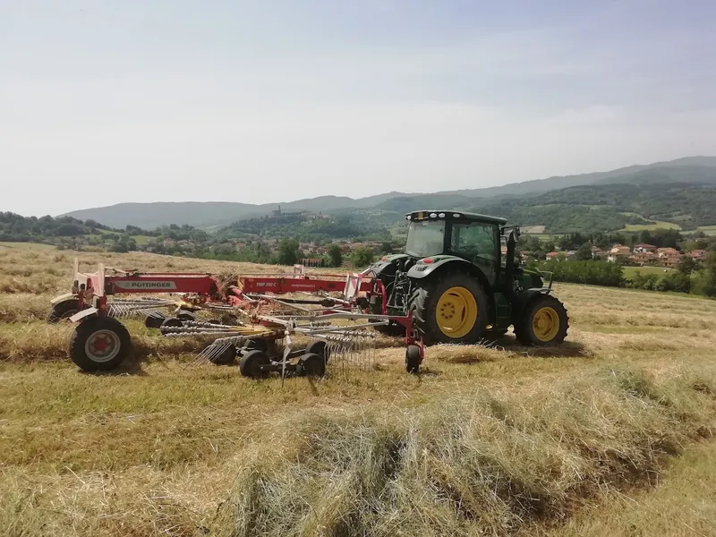 Azienda Agricola San Marco foto 10