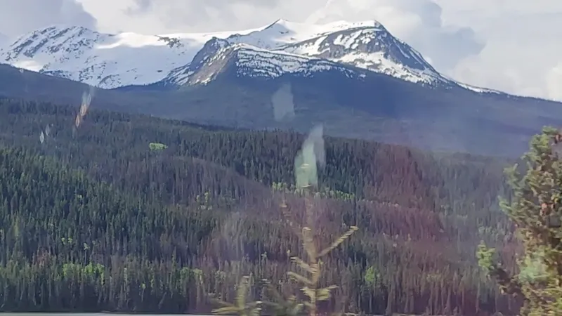 The Canadian (VIA Rail) photo 8