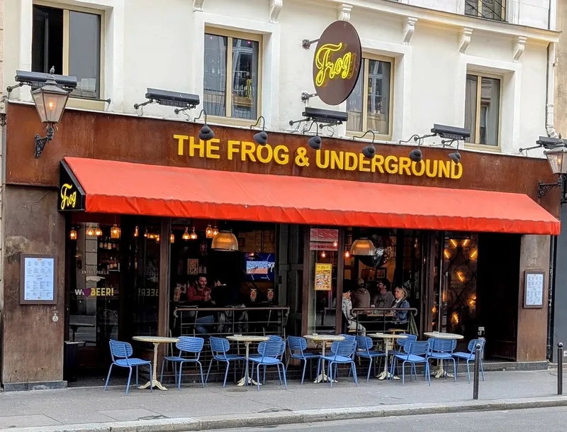 The Frog and Underground foto 6