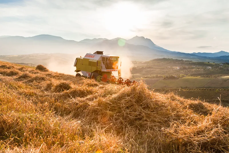 Rustichella d'Abruzzo photo 6