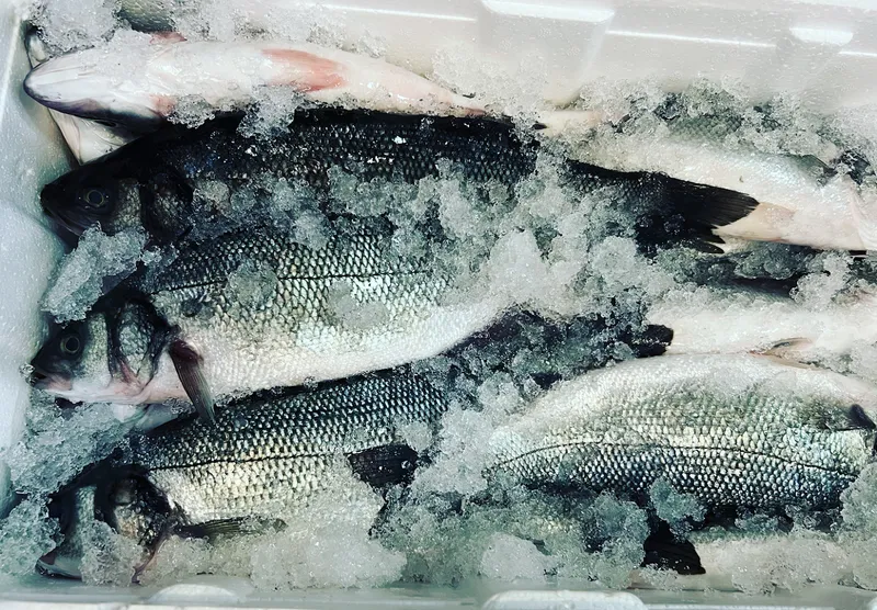 Mozzy Fish Bar photo 6