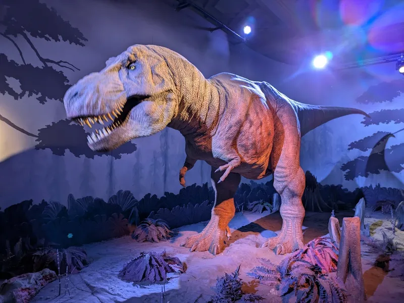 Natural History Museum photo 6