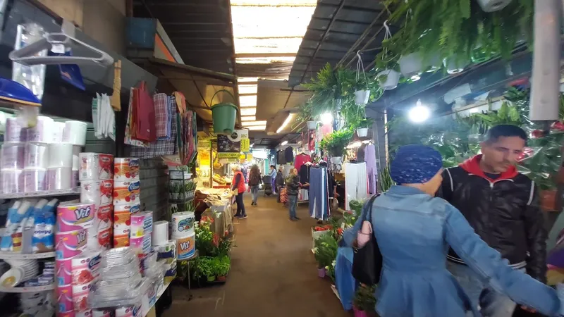 Mercato di San Giovanni di Dio photo 8