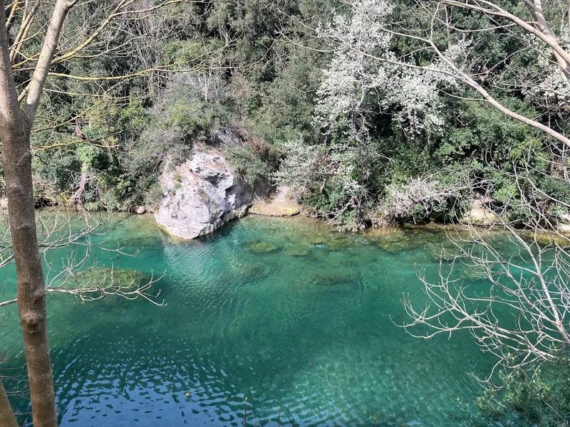 Da Nicoletta foto 6