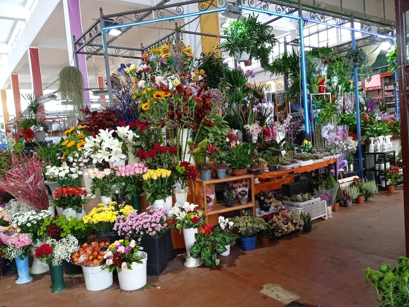 Mercato Italia photo 6