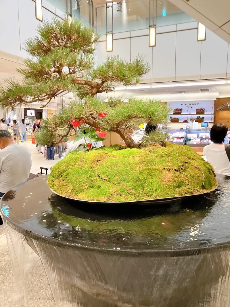ecute Shinagawa photo 6