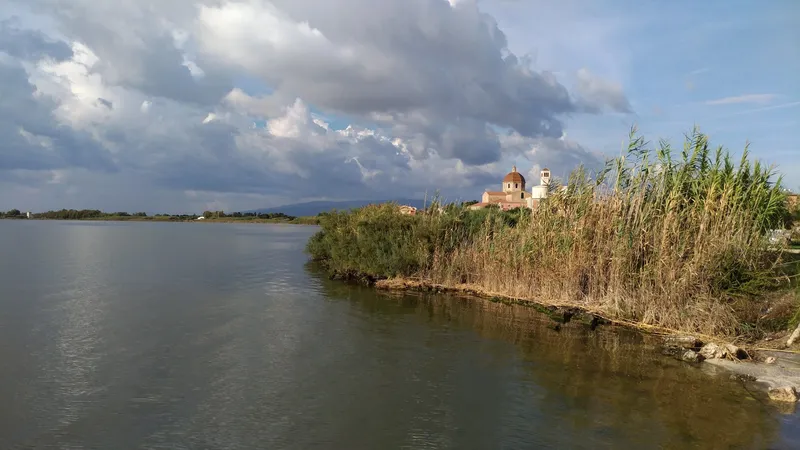 Cabras Lagoon foto 7