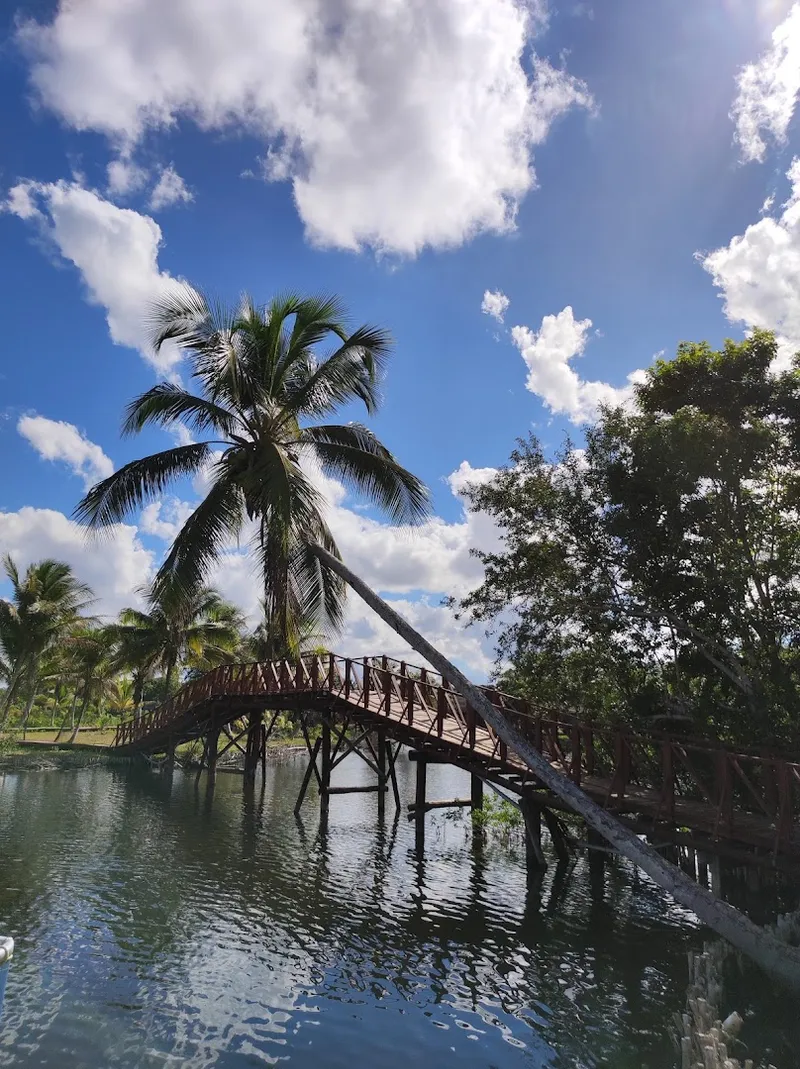 Bahía de Cochinos photo 6