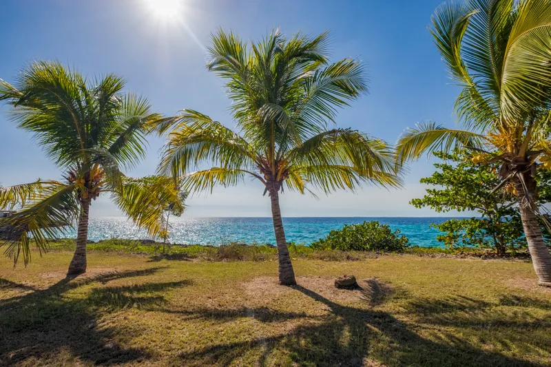 Bahía de Cochinos photo 9