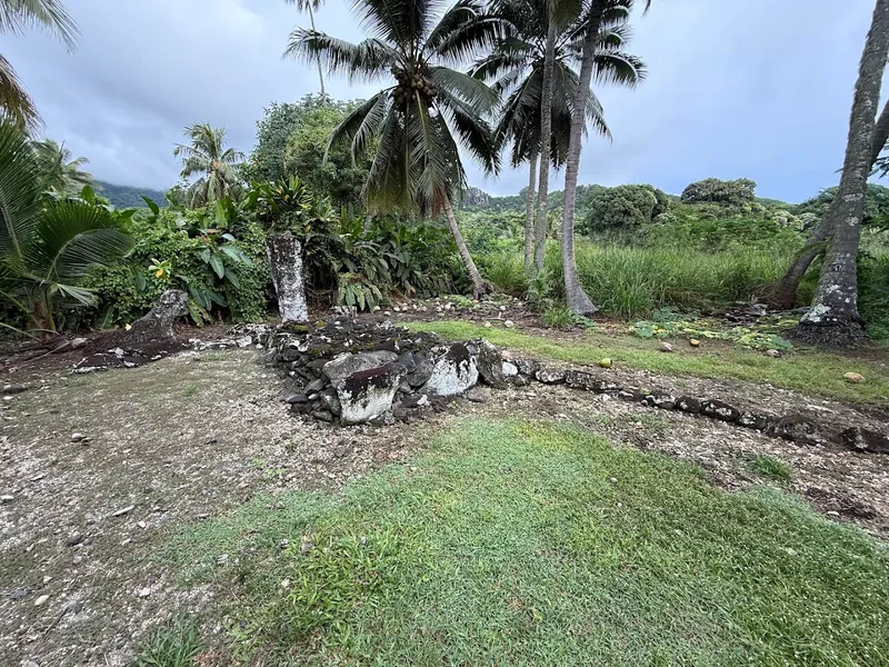 Arai Tetonga
