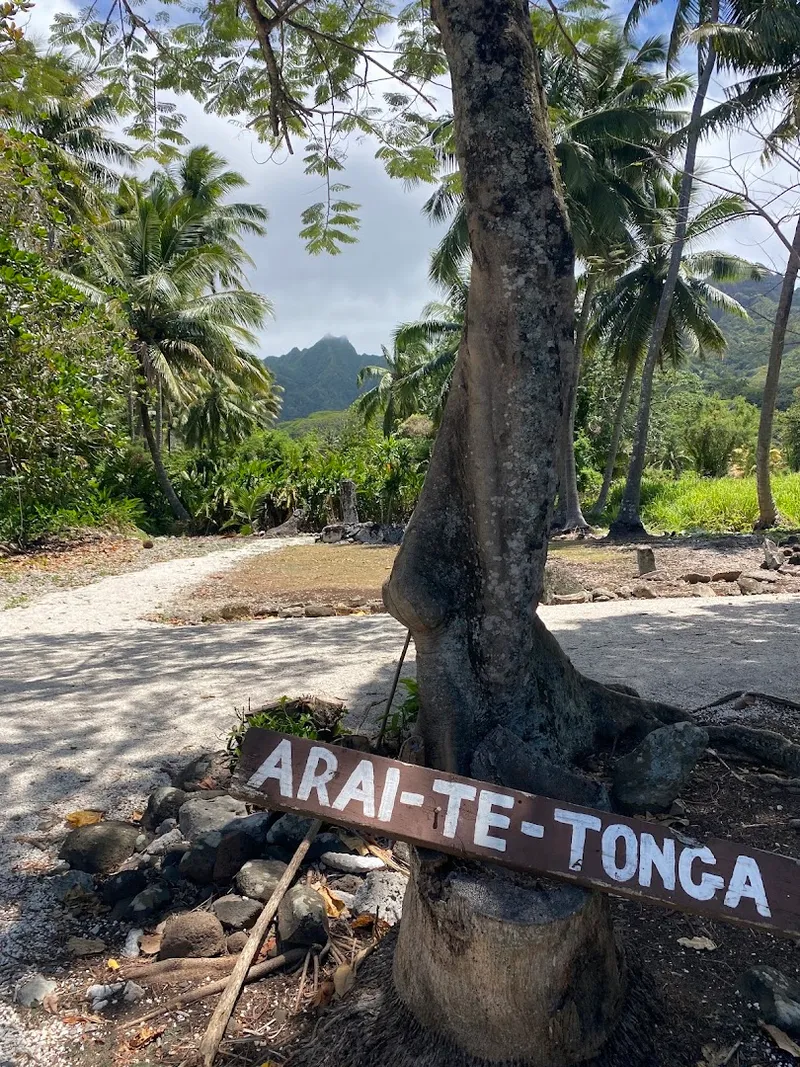 Arai Tetonga foto 5