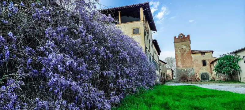 Villa Saletta photo 6