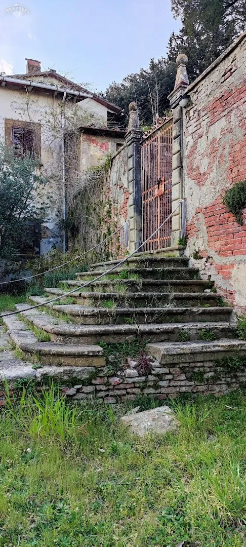 Villa Saletta photo 8