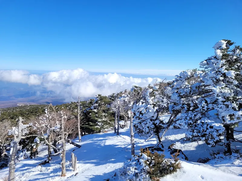 Halasan Mountain photo 10