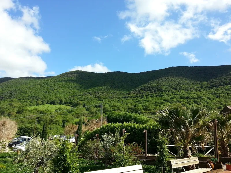 Azienda Agricola La Caselle foto 10