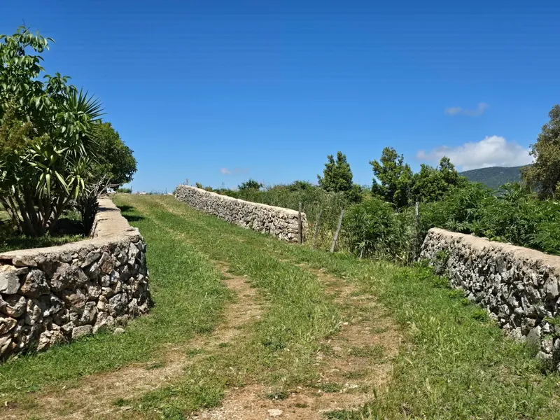 Azienda Agricola La Caselle foto 5