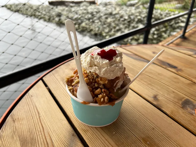 Molly Moon's Homemade Ice Cream photo 9