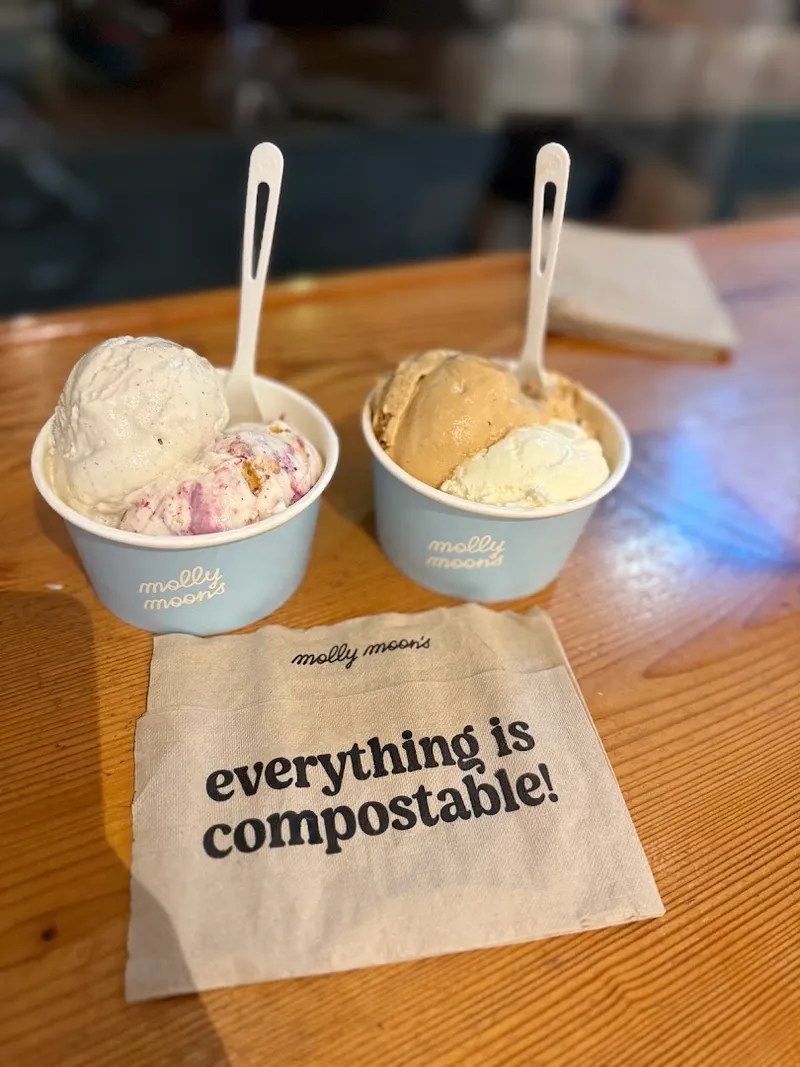Molly Moon's Homemade Ice Cream photo 6