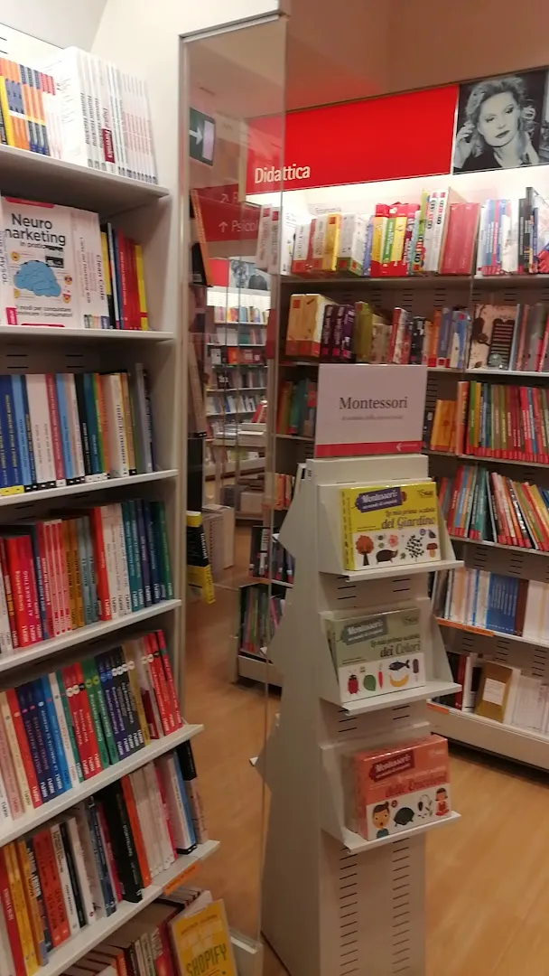 Libreria photo 8