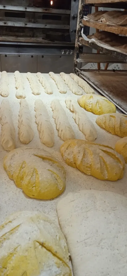 Panificio Il Forno di Ventrella foto 5
