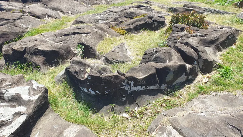 Black Rock photo 7