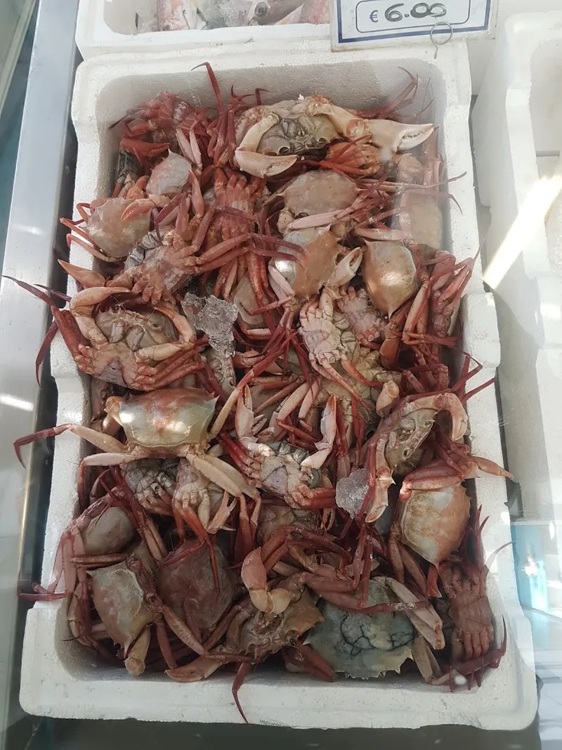 Mercato Ittico di Anzio photo 5