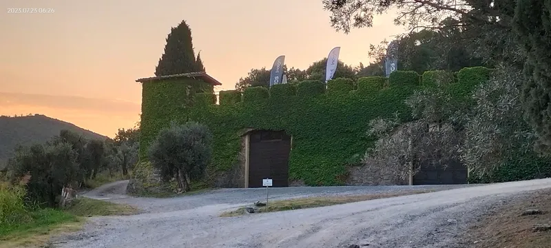 Frantoio del Castello del Terriccio photo 10