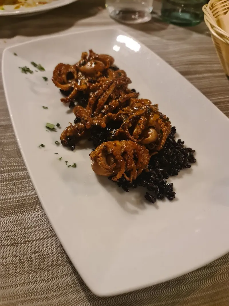 Rogi Anola photo 7