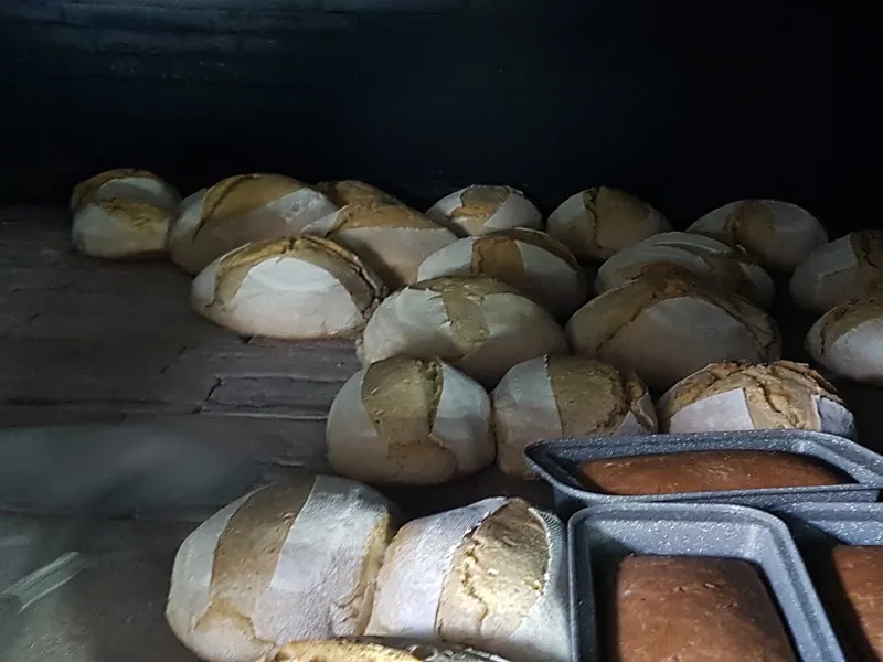 Bakery (unnamed, referred to as 'questa bakery') photo 10