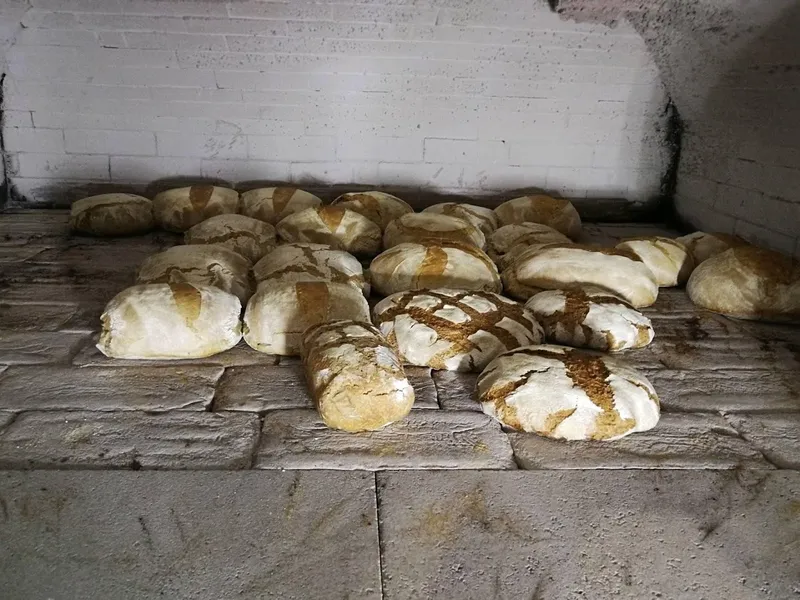 Bakery (unnamed, referred to as 'questa bakery') photo 9