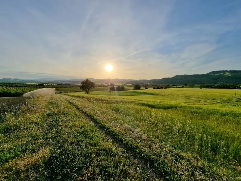 Essenia Dimora Rurale photo 6