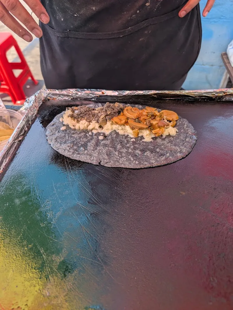 Alejandra's Quesadillas photo 8