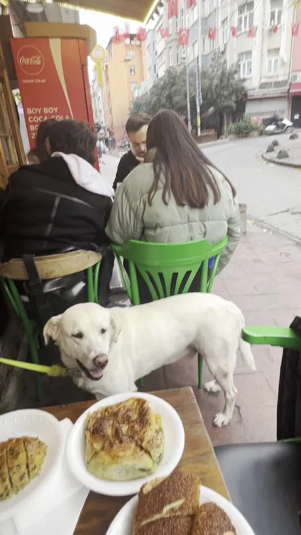 Cibalı Simit Fırını photo 8